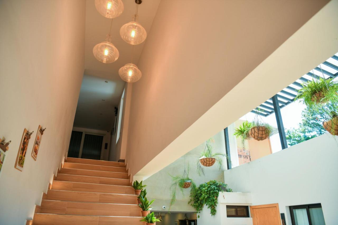 Kaleo Hotel Boutique Сан-Сальвадор Экстерьер фото