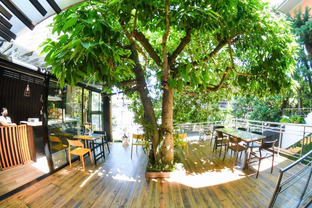 Kaleo Hotel Boutique Сан-Сальвадор Экстерьер фото